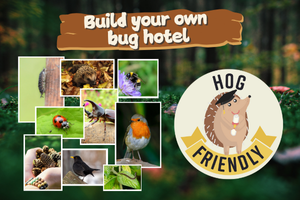 The heading 'Build your own bug hotel' with pictures of a variety of creatures, including robins, ladybirds and blackbirds. There is also text saying 'Hog friendly' with a cartoon of a hedgehog.