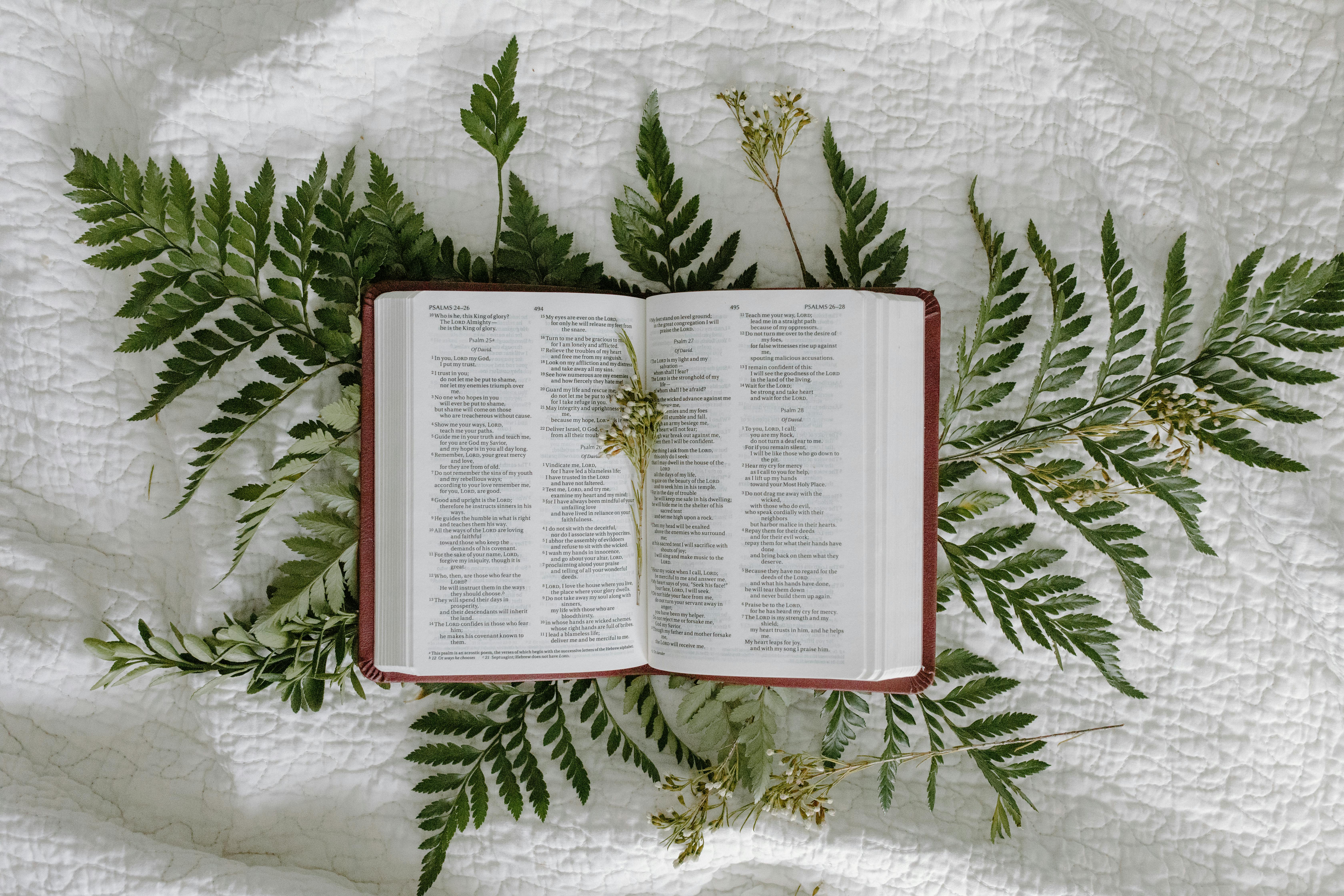 An open Bible on a bed, with foliage surrounding it and a flower laying on top of it.