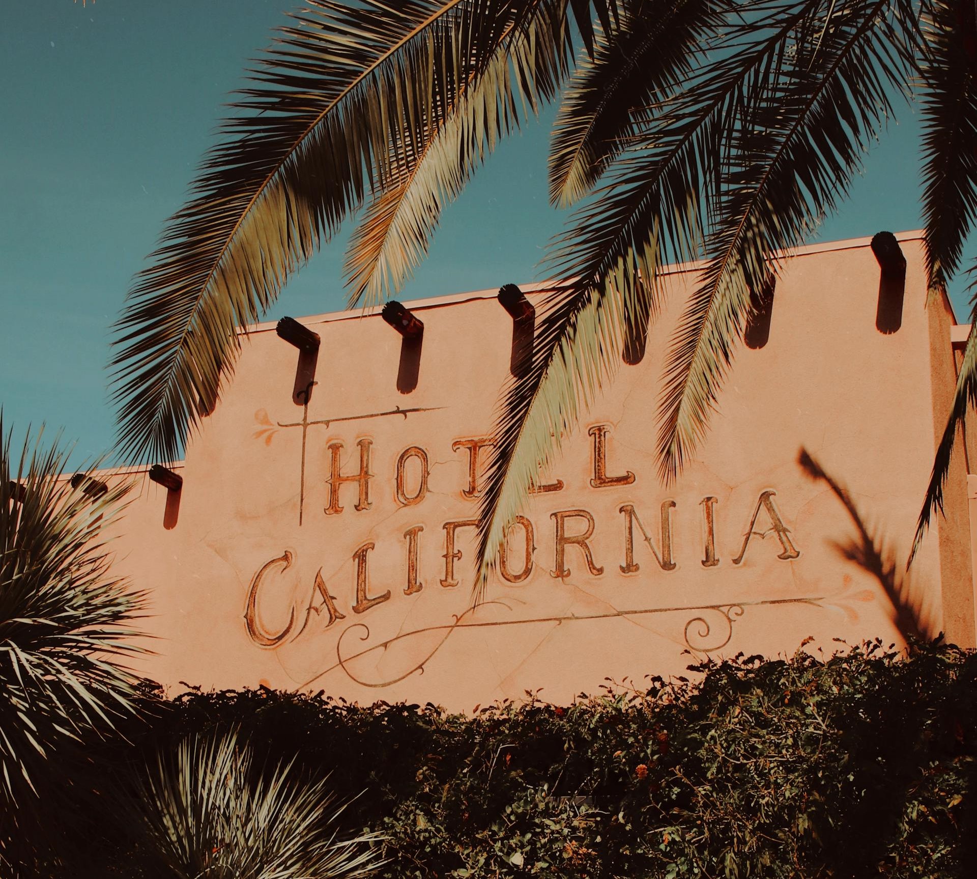 The Hotel California in the sunshine, with a palm tree in the foreground.