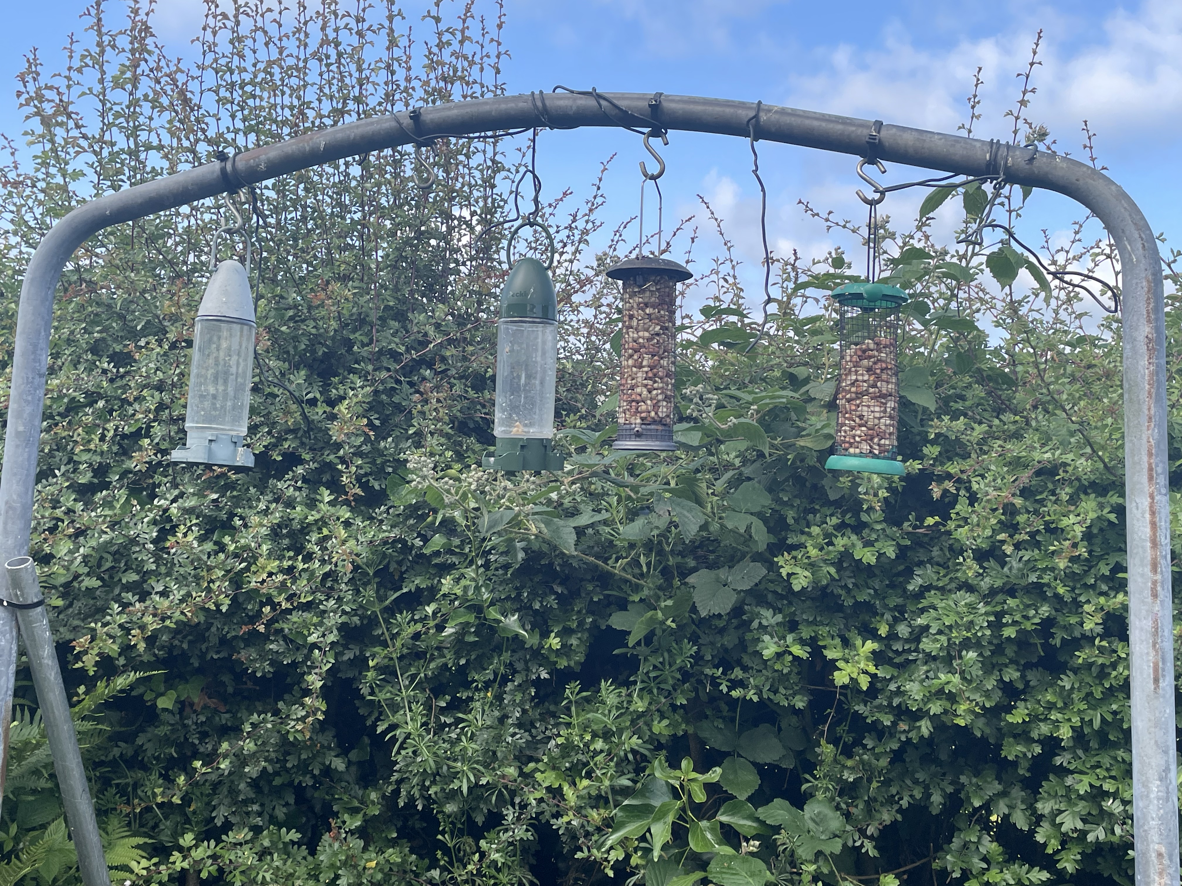 An arched metal frame with bird feeders attached to it.