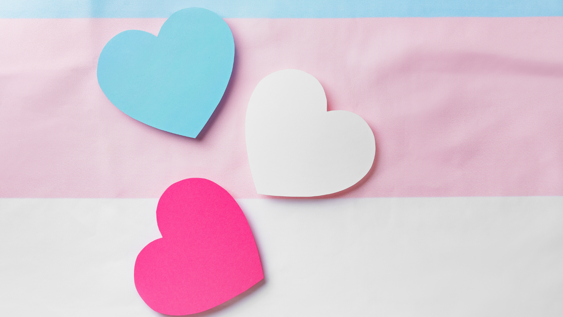 The transgender pride flag with three hearts on top in blue, white, and pink.