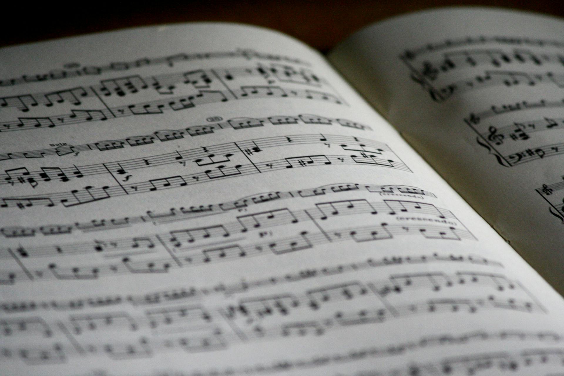 A close-up photo of sheet music.